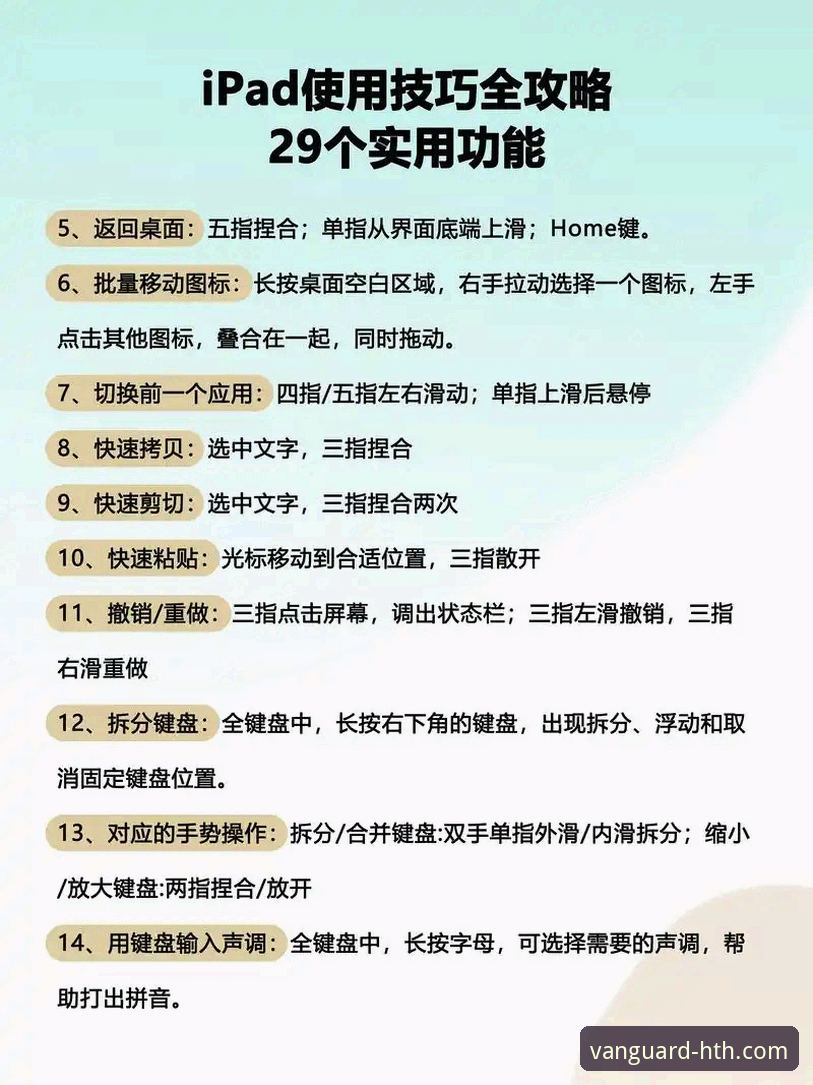 从菜鸟到老手：华体会HTH.COM移动版使用指南与实战心得教程